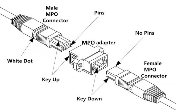 Tipo de cable del tronco de la fibra MPO del PVC LSZH 8/12/24 polaridad SM milímetro de B 1