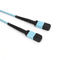 PVC LSZH 8/12/24 Fiber MPO Trunk Cable Type B Polarity SM MM